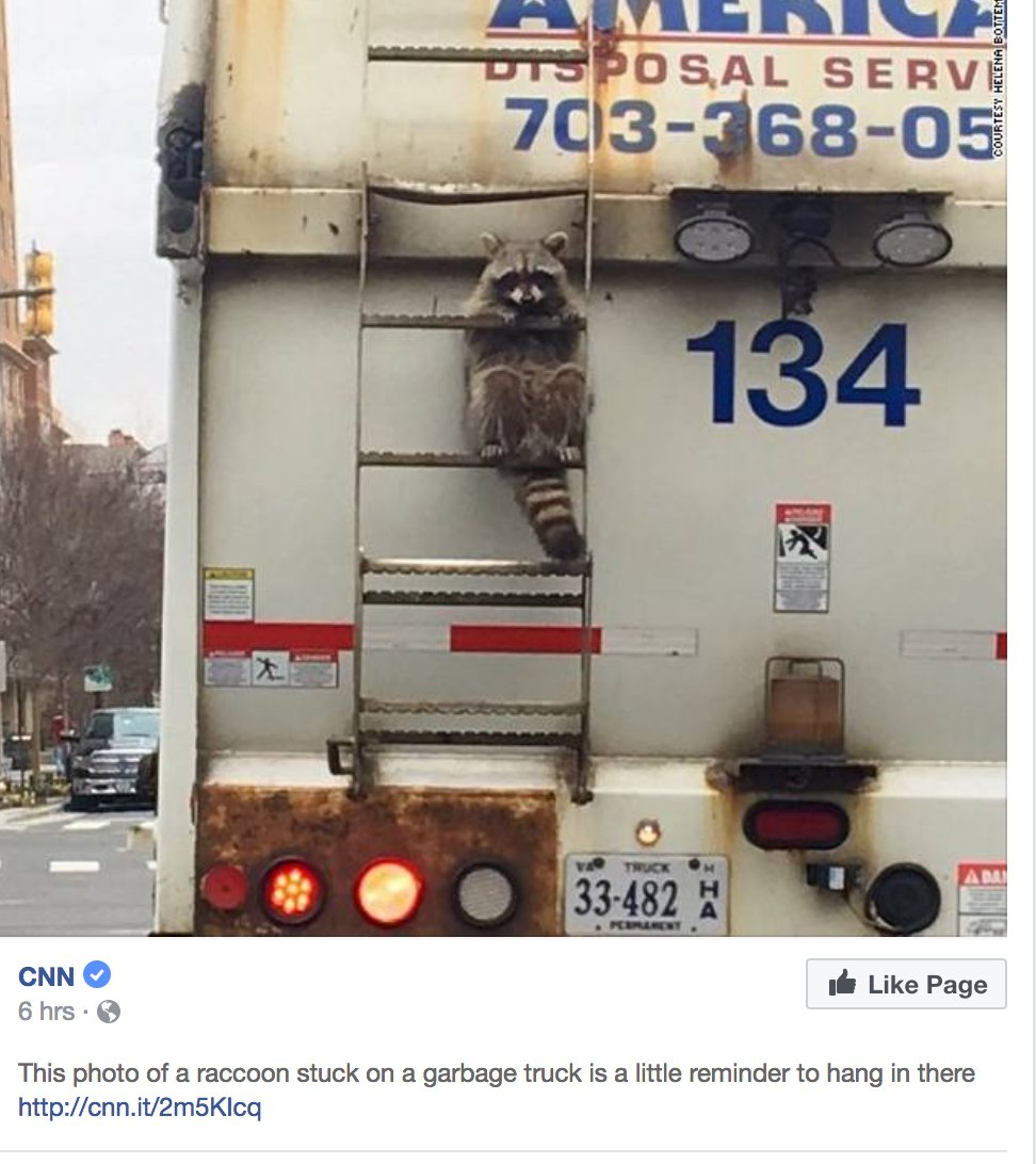 I know all the news is fake now but I find this EXTREMELY IMPORTANT