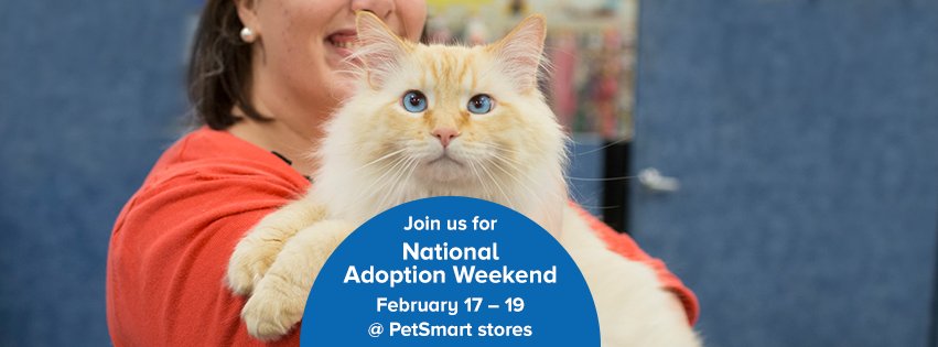 APLSpringfield's tweet photo. @PetSmartChariTs  #NationalAdoptionWeekend  is here!  Come meet our dogs &amp; cats at PetSmart today from 11-4 https://t.co/YispAy2vwU