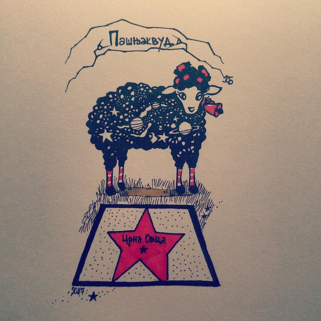 katarinabacevic's tweet photo. #crtkamo crnu ovcu ✨✨✨ https://t.co/BJkCXt0HWc