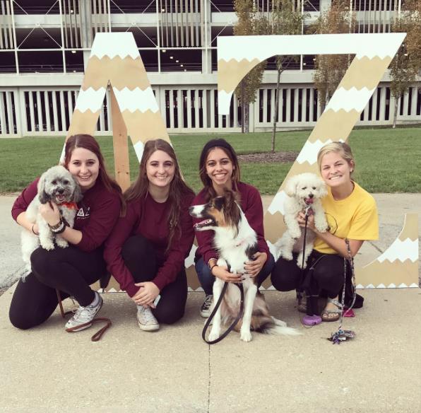 <a href="/DeltaZeta_IUPUI/">Delta Zeta @IUPUI</a> hosts successful Paws for a Cause for philanthropy ow.ly/T3b83090gPN