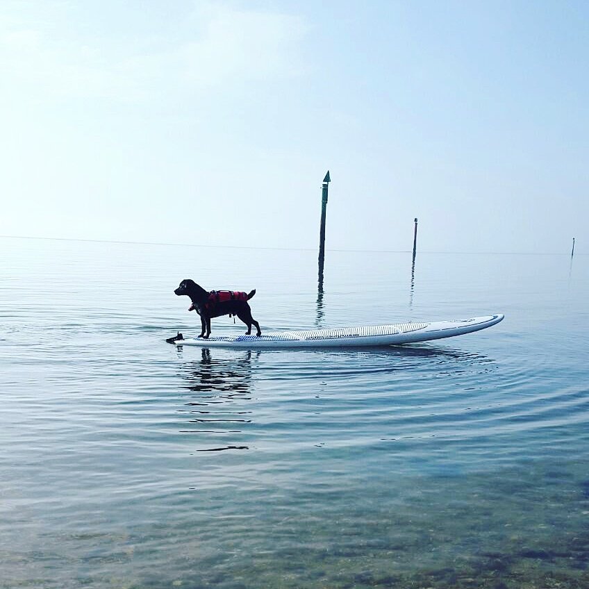 mfl_otoole's tweet photo. 🌊 #teacher5aday https://t.co/9eEh5WdmG4