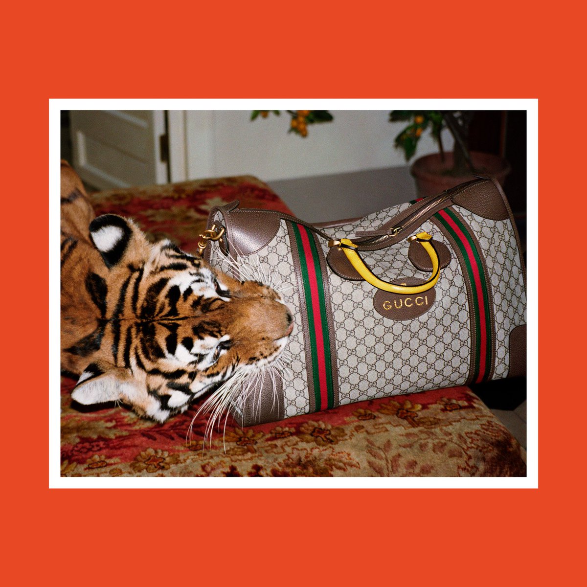 Gucci Duffle Bag Tiger - All Best Desktop Wallpapers