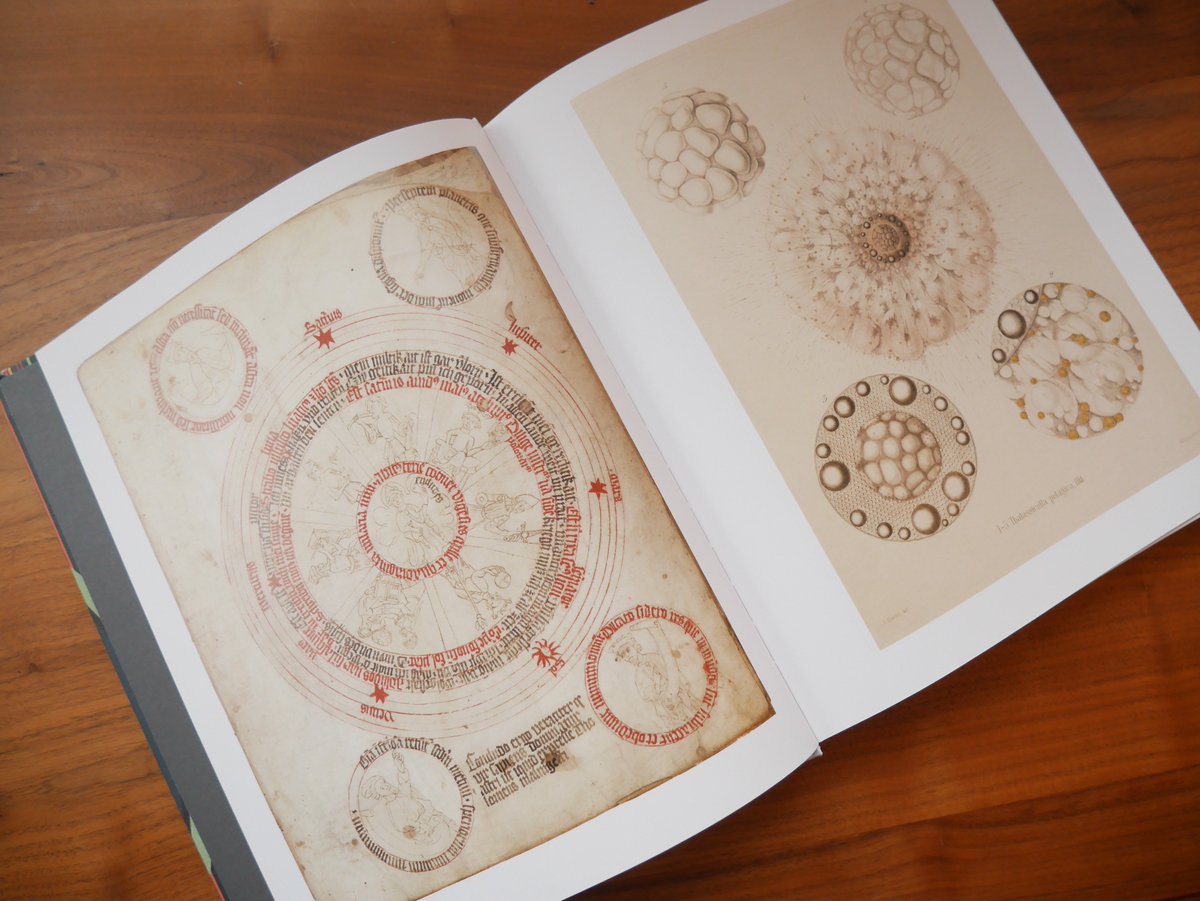 bookofcircles's tweet photo. Look what just came in the mail: an advance copy of The Book of Circles: Visualizing Spheres of Knowledge. https://t.co/N3LtDLWjD1