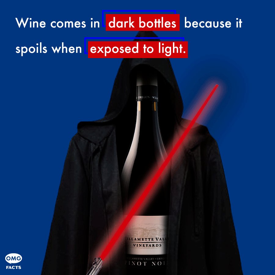 Amy Rohr (@rohr_amy) | Twitter