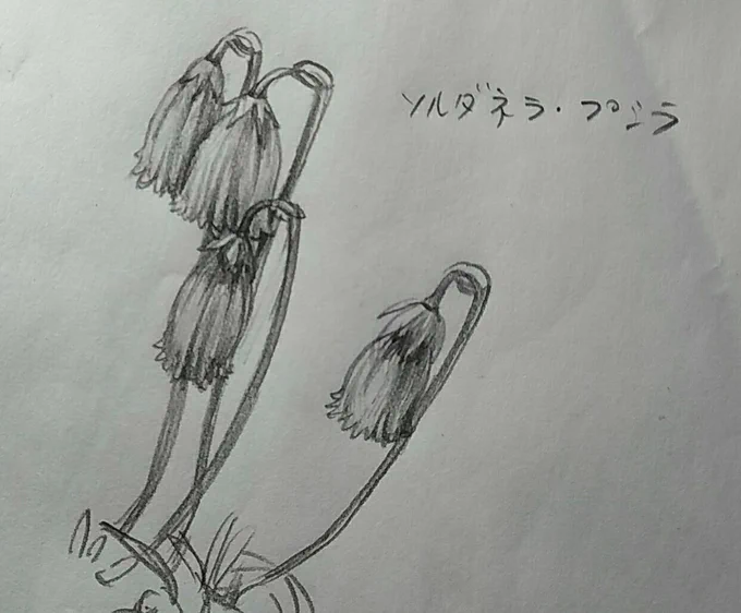 お花って難しい…

早起きがなかなか定着しないです…がんばれるときはできるのに次の日には昼まで寝てるとかね…何か強制力があれば変わるだろうけどできるだけ自主的に生活態度改めたい…
案の定今日もぐだってやること消化できなかったんで明日に詰め込む結果に('- `)やんぬるかな… 