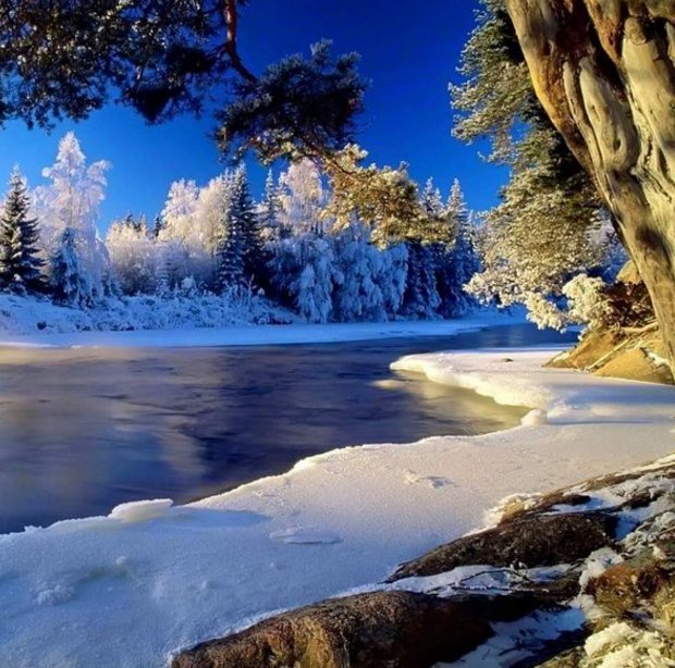 moon_perla's tweet image. 