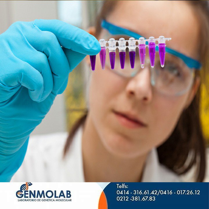 Genmolab's tweet photo. En @genmolab realizamos #pruebasdeADN #filiaciónbiológica #pruebasdepaternidad #pruebasdeabuelidad https://t.co/CzMm2BkHpA https://t.co/4aHnp5YmhM