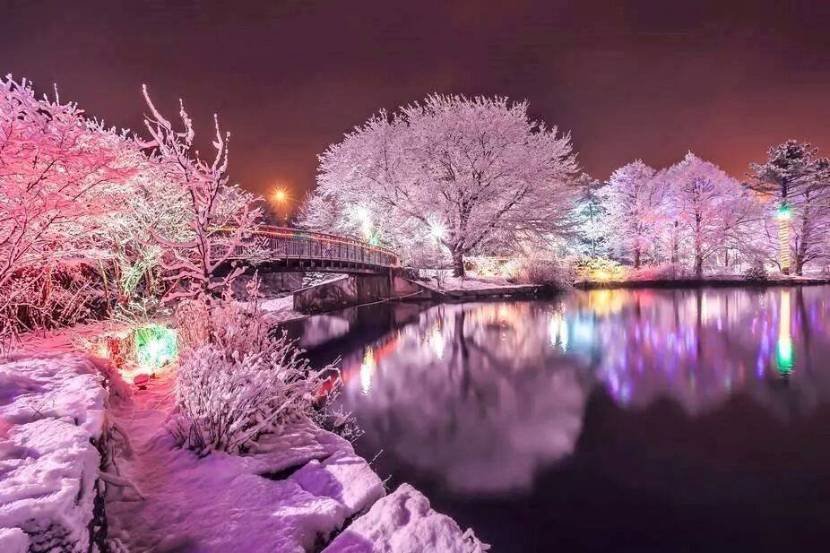 moon_perla's tweet image. 