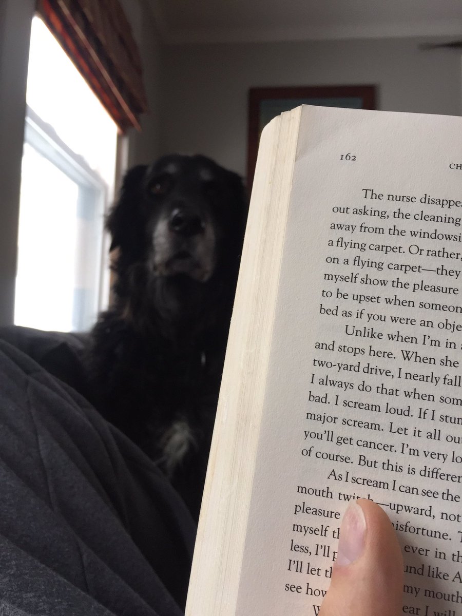 davidjester60's tweet photo. Saturday morning reading. Music, couch, Noah, and coffee #writerslife #dog #dogsofwriters https://t.co/cKZLIYo2yu