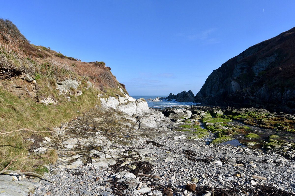 mcsparkyj's tweet photo. Springtime!! On a walk to Bennetts Mouth today #Mortehoe #woolacombe #ndevon https://t.co/oOHBqcjntD
