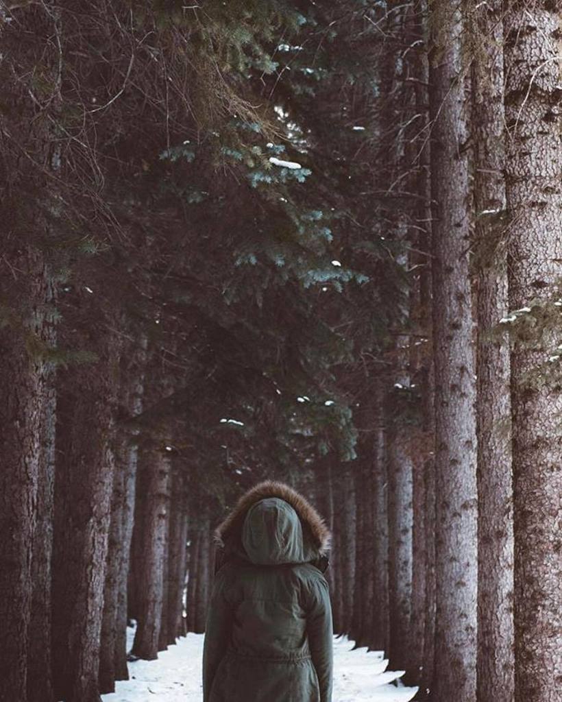 "The woods are lovely, dark, and deep. But I have promises to keep, and miles to go before… ift.tt/2lvs3Kv