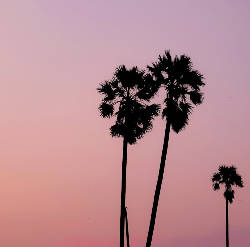 Si tu pouvais partir n’importe où dans le monde demain… quelle serait ta destination? #voyage #aventure