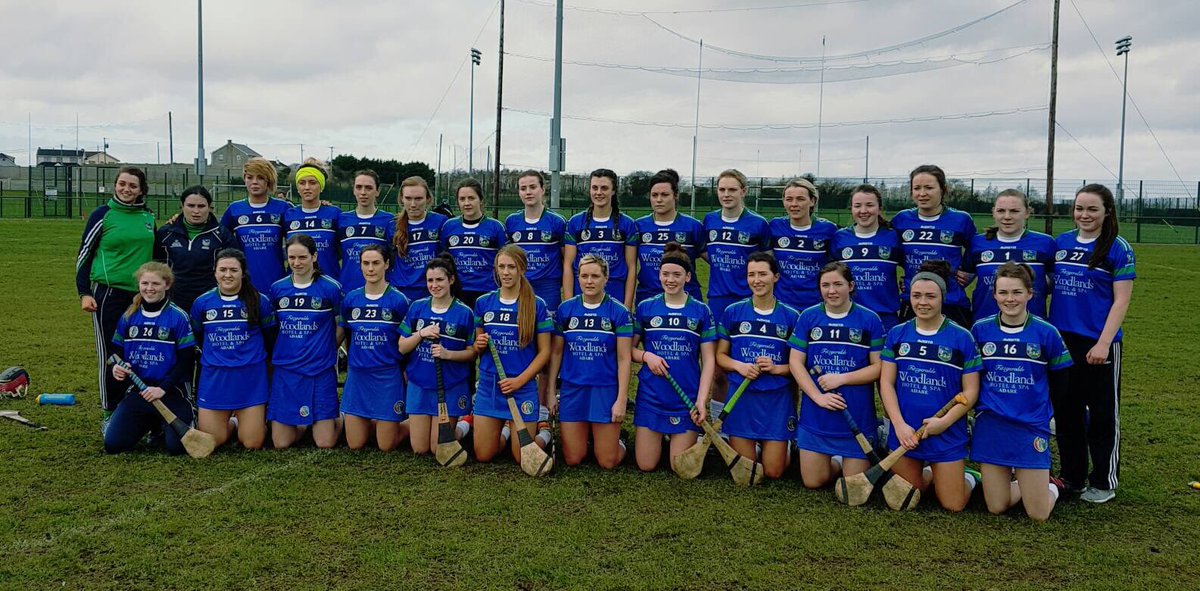 Result in the National Camogie League 
Limerick 0-18 Meath 0-07