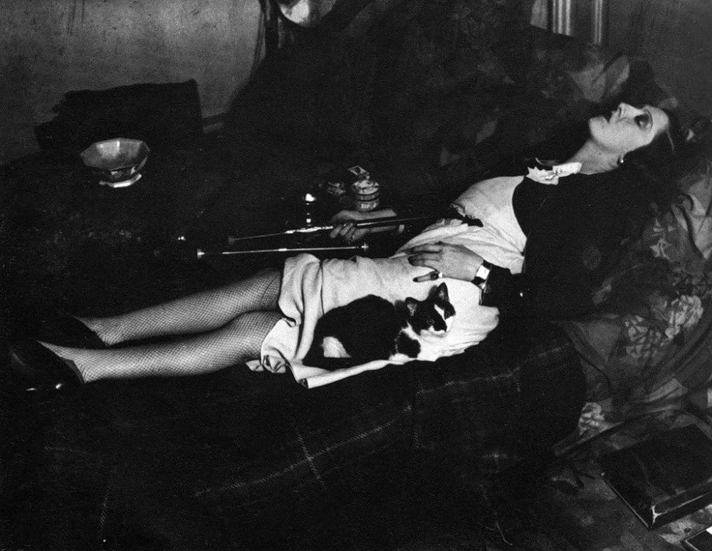 Megan Abbott On Twitter Woman With Cat In Opium Den Brassai Paris 1931
