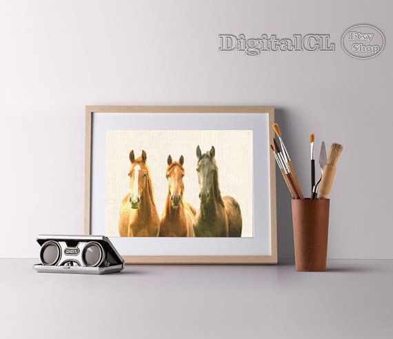 NCSmallBizPromo's tweet image. photography equestrian art nursery animal art horse decor kids room print nursery animal @DigitalCL #Etsyhttp://buff.ly/2iOEGjb