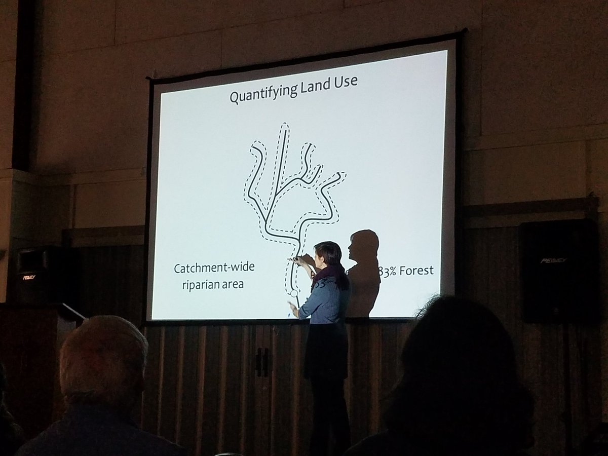 Jeronimo Silva tweet media