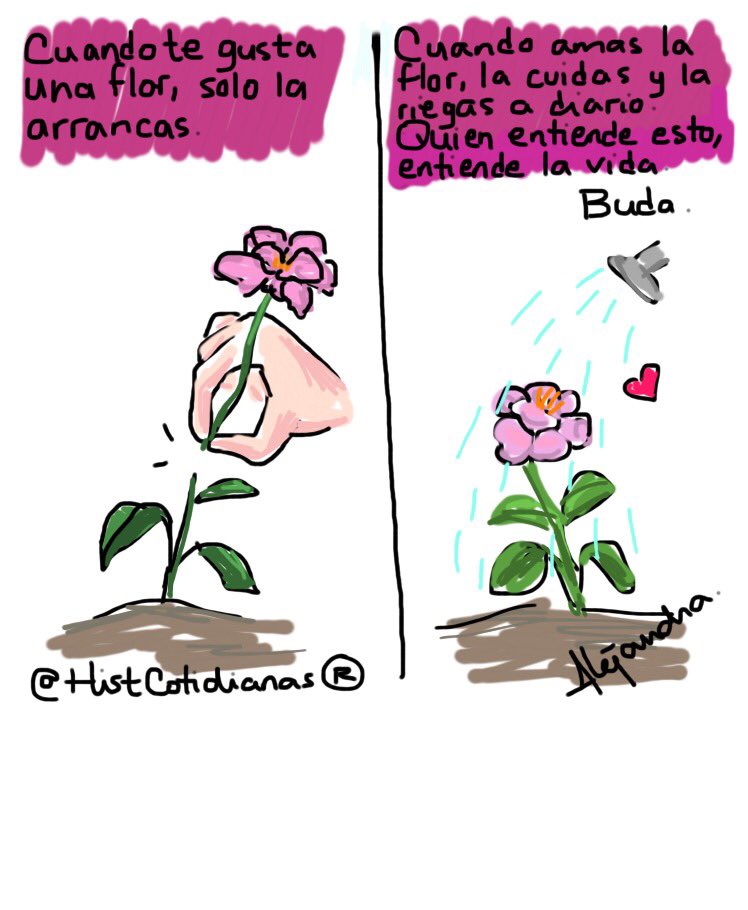 HistCotidianas's tweet photo. Quien entiende esto, entiende la vida.
#Buda https://t.co/lpSTtwvVpq