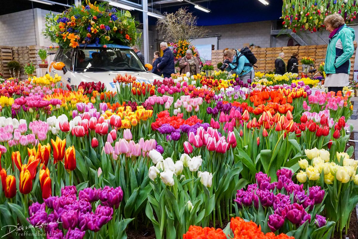 tulips_holland's tweet photo. Always nice to meet new people at flower shows. Thank you @treffendbeeld for making making a photo of me

#travel to the #tulipsinholland https://t.co/REaPezHGJj