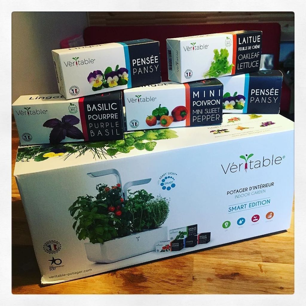 FabienGrenet's tweet photo. La très bonne surprise de retour de vacances : un mini potager @veritablegarden !
#veritab… https://t.co/7FhTqDsxlq https://t.co/iEXYDUUxyl