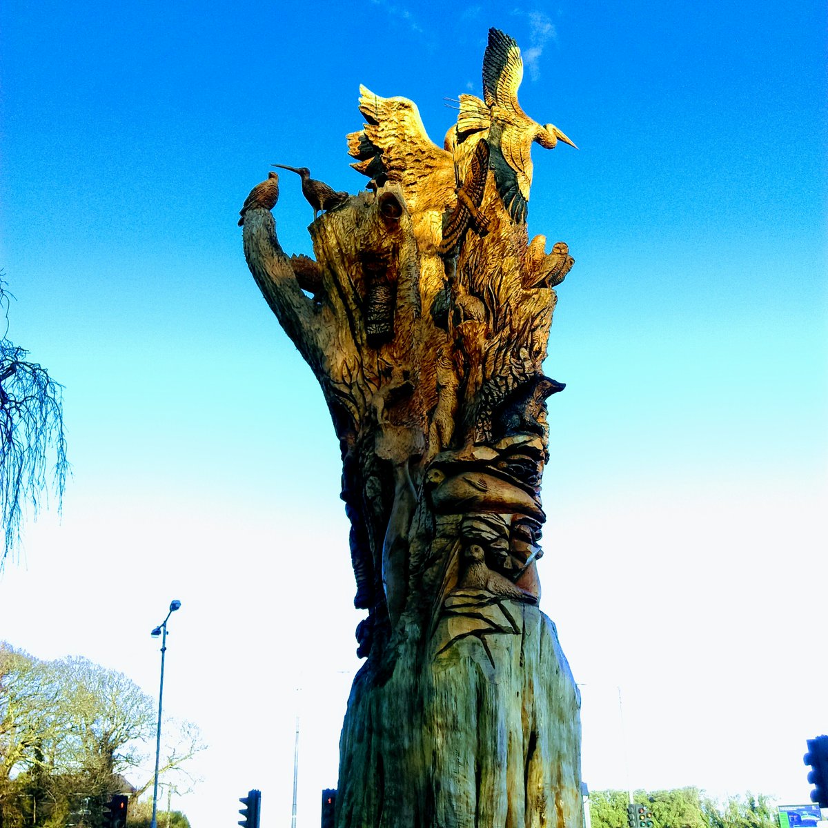 mcginn10 tweet media