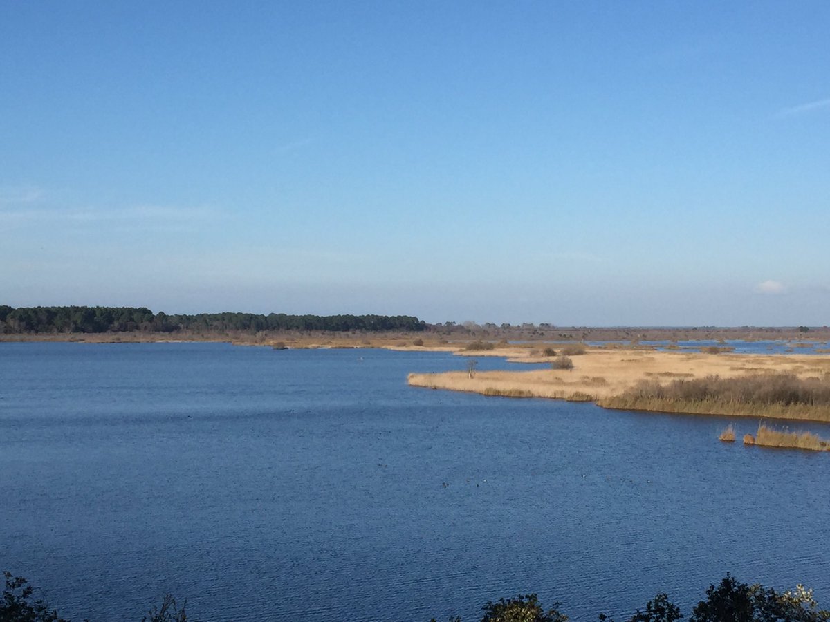 FoyerDidier's tweet photo. Lacanau 📷 by Nina.... Le soleil, l'océan, l'étang du Cousseau... c'est beau Lacanau l'hiver..
#Lacanau #Medococean. https://t.co/SCoiPvTupE