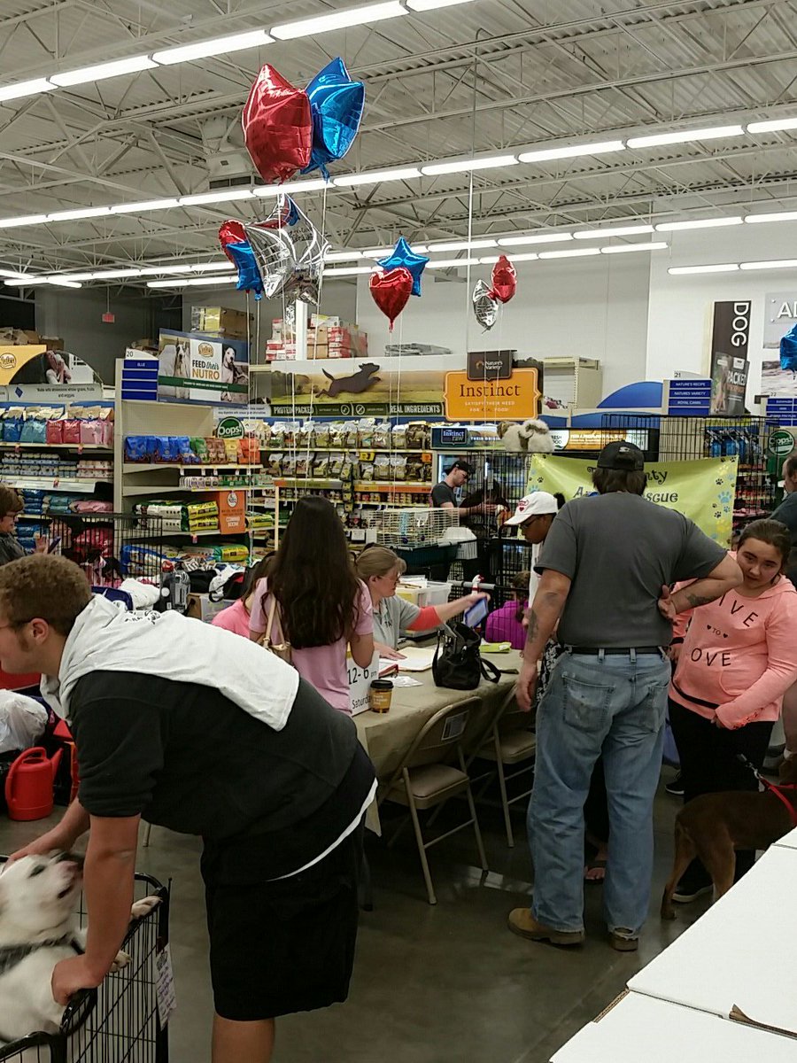 petm0409's tweet photo. Adopt today petsmart in Gastonia 12-6 saturday. https://t.co/TKj2Ilw6A5