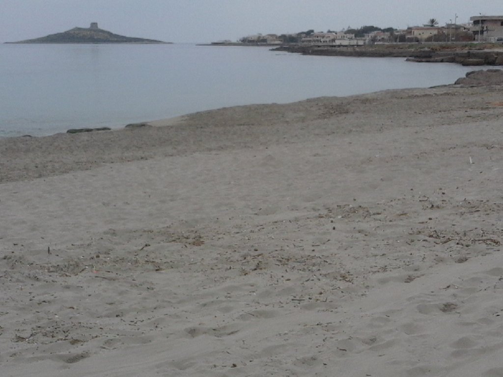 isolabenecomune's tweet photo. #isoladellefemmine #Sicilia #turismo #spiaggia #mare #estatesempre  #Areamarinaprotetta #riservanaturaleorientata https://t.co/I2eURP0GWp