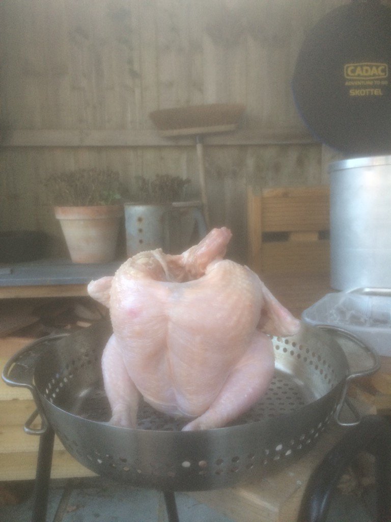 mrgcocking's tweet image. Guess who's coming to dinner ?