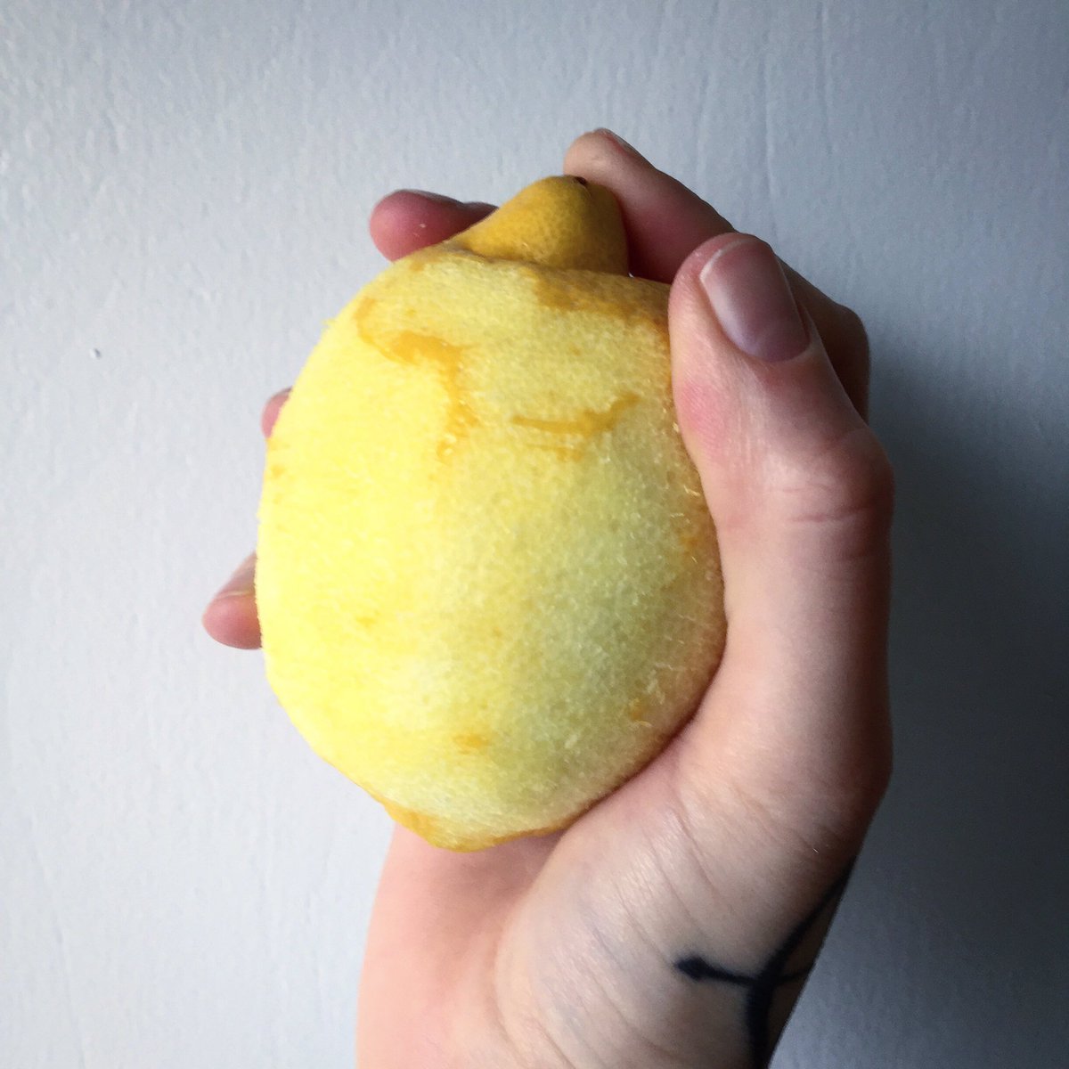 DutchGirlCafe's tweet photo. Today I skinned 2 lemons for the sake of #LemonVelvet. I am a monster. #veganhumor #vegan #cake #yeg https://t.co/UfEd18UmKK