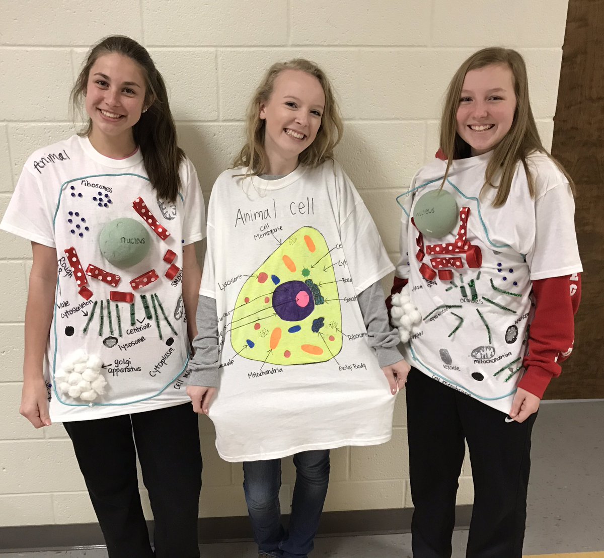 JameyAlcorn's tweet photo. Great to see these students immersed in their Science lesson today! #cellprojects https://t.co/KWdfTphrTo