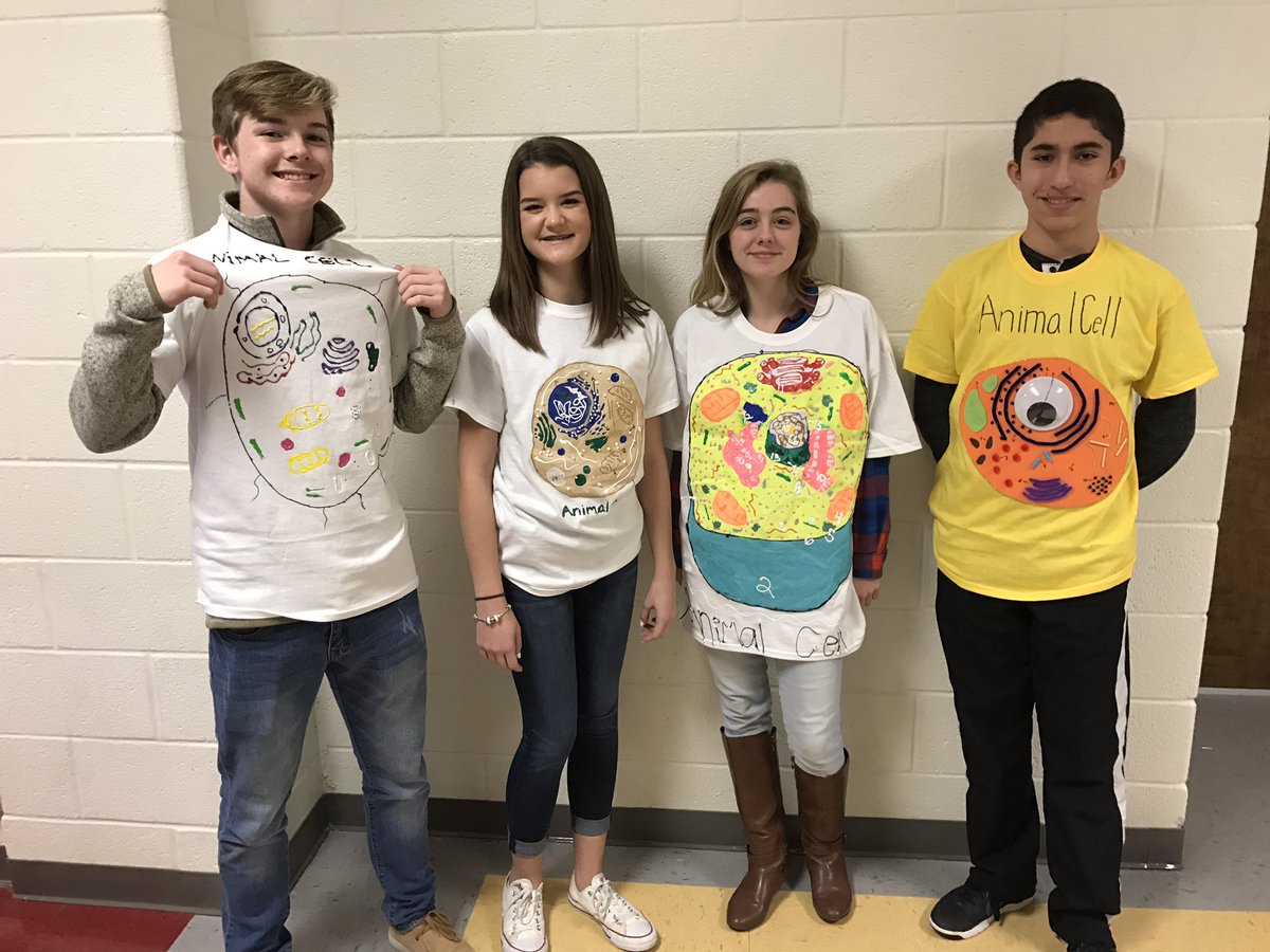 JameyAlcorn's tweet photo. Great to see these students immersed in their Science lesson today! #cellprojects https://t.co/KWdfTphrTo