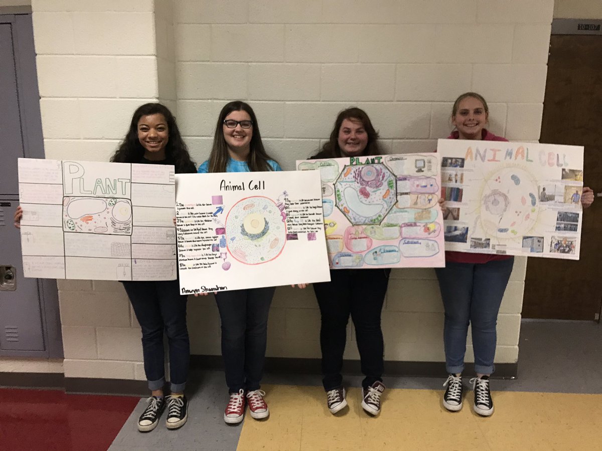 JameyAlcorn's tweet photo. Great to see these students immersed in their Science lesson today! #cellprojects https://t.co/KWdfTphrTo