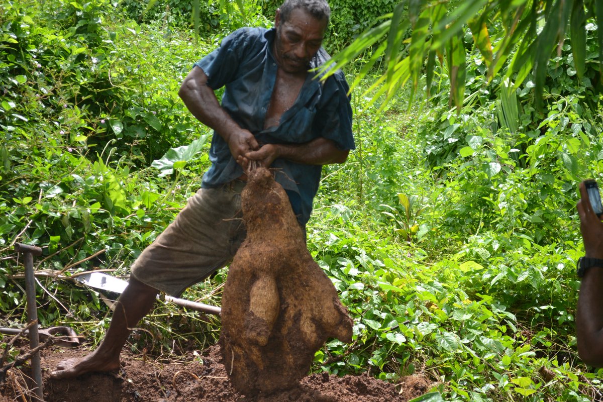 PoetCom1's tweet photo. #organic lending policies by #Fiji development bank 2 grow organic agri @spc_live @ColinTukuitonga @AumuaA @FijiAgriculture https://t.co/WWXzei8Yma