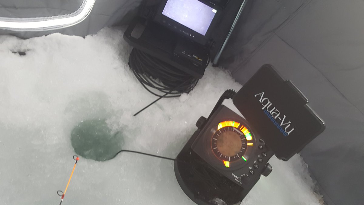 brobull's tweet photo. #perch #frabill 371 BroSeries Straightline #AquaVu HD700i @NorthlandTackle MudBug&Impulse Skeleton @HumminbirdFish https://t.co/N8Ziqz5xYb