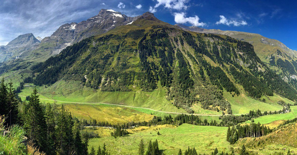 climatehawk1 (@climatehawk1) on Twitter photo #GlobalWarming causing fundamental shifts in chemistry of mountain soil | <a href="/bberwyn/">Bob Berwyn</a> psmag.com/global-warming… #climate #divest #GlobalWarming causing fundamental shifts in chemistry of mountain soil | <a href="/bberwyn/">Bob Berwyn</a> psmag.com/global-warming… #climate #divest
