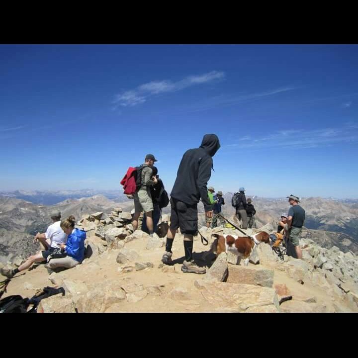 annagrace188's tweet photo. @Alex_Philbrick remember the guy on top of mt. Huron with his dog? This will totally be Rocky one day. #coloradoforever https://t.co/RxlUFqTvTs