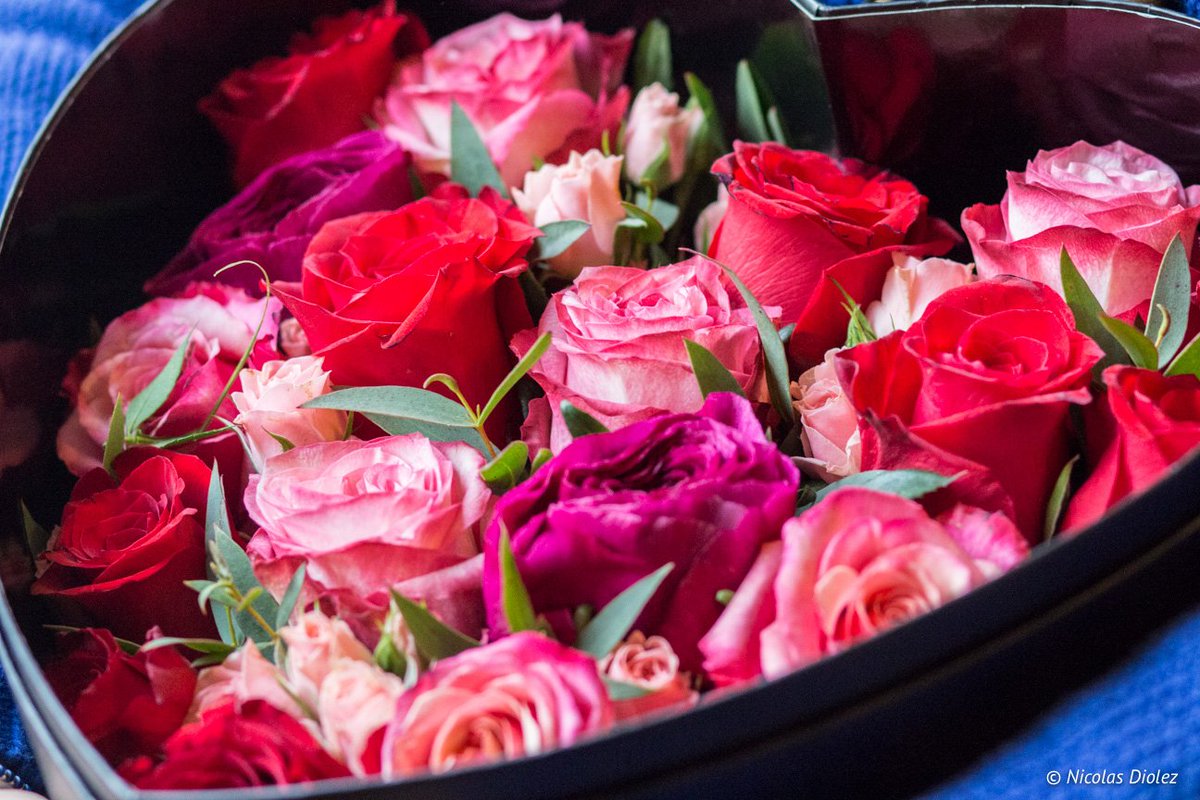 #CONCOURS #SaintValentin avec de jolis lots à gagner pour l'occasion sur le blog #bouquetdefleurs #livres #bonplan mademoisellebonplan.fr/2017/02/06/bon…