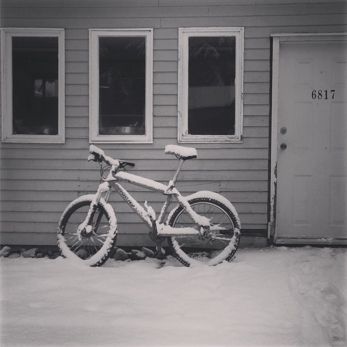 oakbaybikes's tweet photo. It looks pretty, but it's not healthy - don't leave your bike out. Put it inside or go for a RIDE! #yyj #yyjbike #yyjwinter #fatbikeday https://t.co/qQkQ0lkPhy