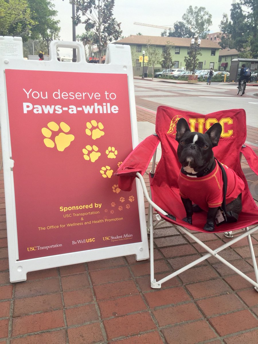 USCCareerCenter's tweet photo. De-stress this wk w/Happy Hour yoga, tai chi &amp; therapy dogs! Full schedule: https://t.co/GIKqpSMGjN  @USC_OWHP #bewellusc https://t.co/MCikL8bHlM