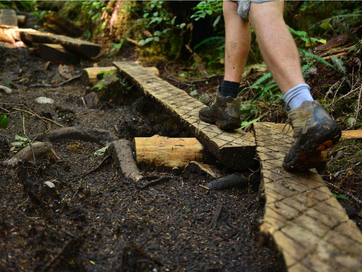 PacificRimNPR's tweet photo. #MondayMotivation 
“The world is mud-luscious and puddle-wonderful.”  e.e. cummings
#hiking #trails #Westcoasttrail https://t.co/y0NFrP9Nbr