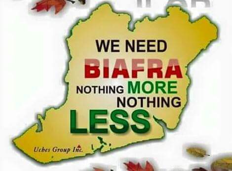 Biafrafreedom tweet media