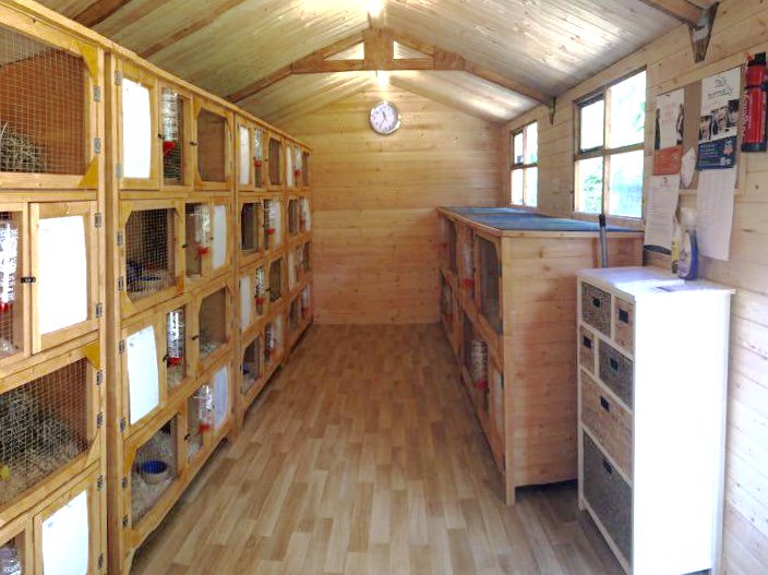 Booking an #easter break? Who will look after your small pets? We still have availability in our luxury climate controlled small pet hotel