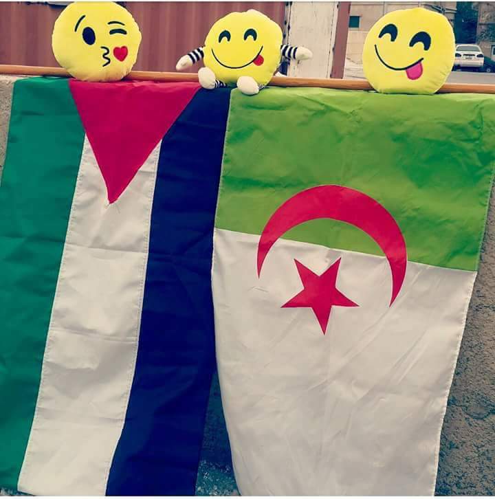 rafifamine's tweet photo. لو لم اكن #جزائرية 🇩🇿 لا تمنيت ان اكون  #فلسطنية 🇵🇸 بصح انا الحمد الله #جزائرسنطنية 
 #الجزائر  #فلسطين 😍😍😍😘😘 https://t.co/FZLT5RNd2g