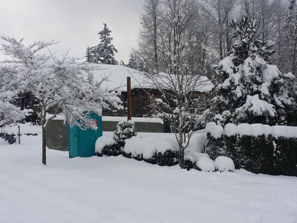 IssaquahModern's tweet photo. @buildllc do not come up to Issaquah today too much snow!! https://t.co/7S0mlrVjIR