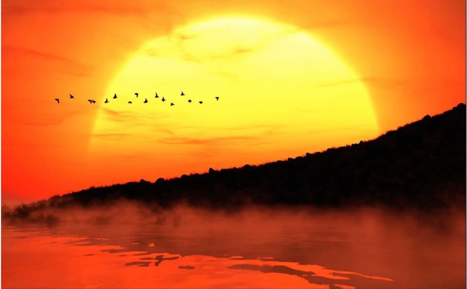 Alexhia_0 tweet picture