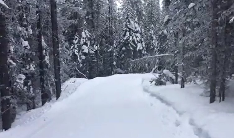CoastOsoyoos's tweet photo. 6km of cross country ski trails are open at Baldy Mountain Resort and they're free for everyone! #skibaldy #dowinter #osoyoos #explorebc https://t.co/EHpalBCZdm