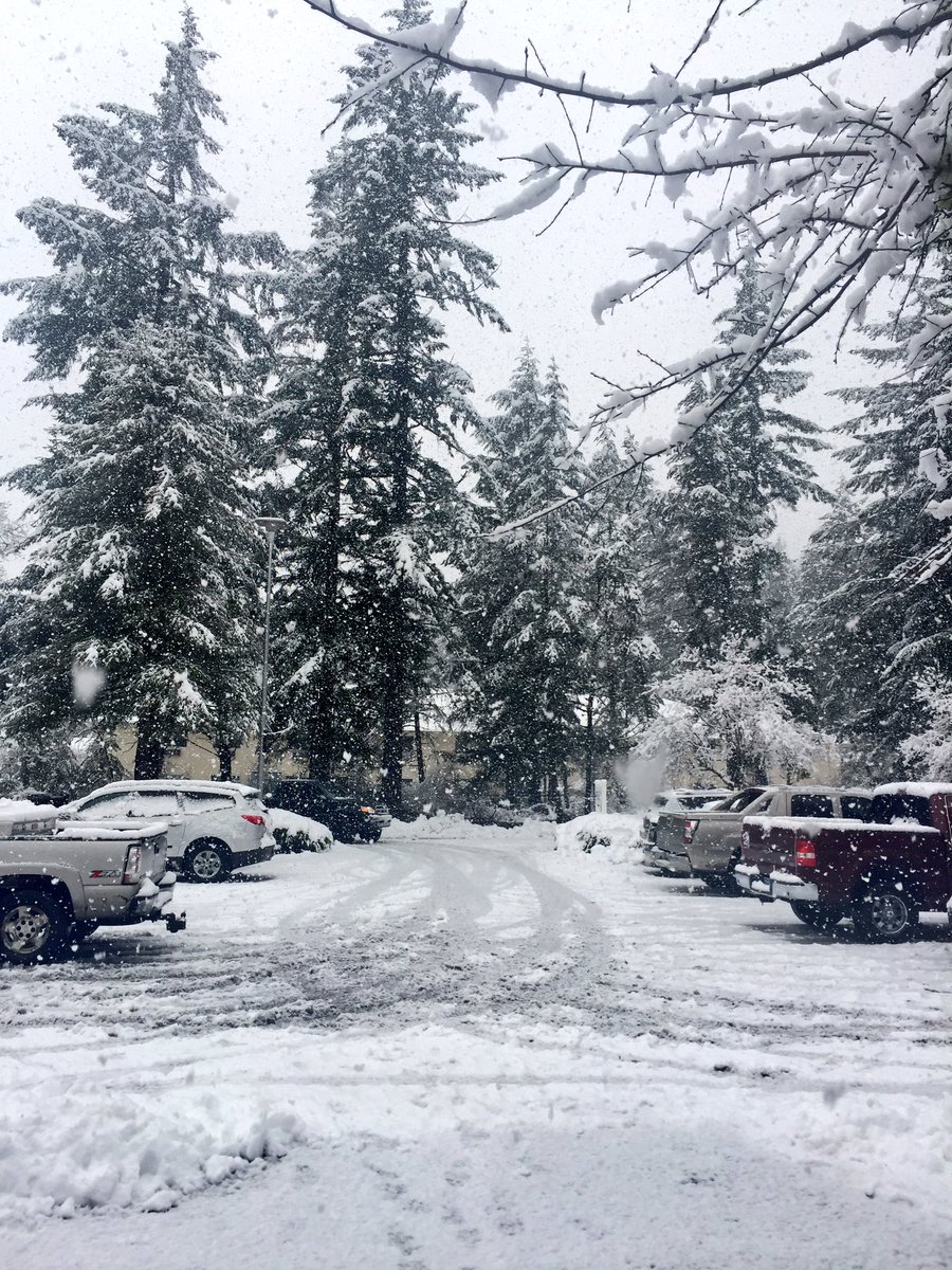 cduubbb's tweet photo. so pretty ❄️💕 https://t.co/cKXlFyLku5