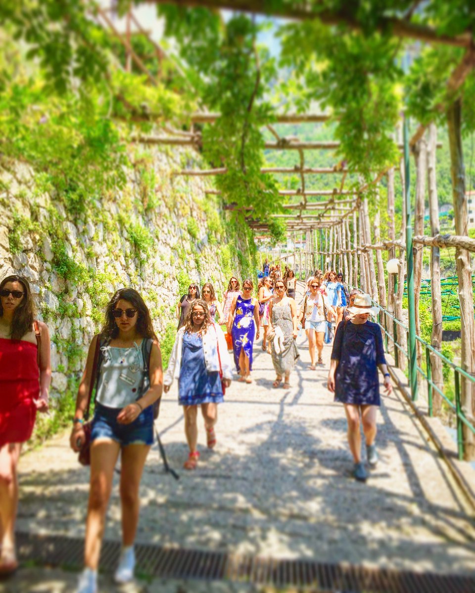 salaceto's tweet photo. #Lemon #walking #tour 🍋
#amalfi #amalficoast #around #organicfarm #lemontour #whenlemongivesyoulife #lemonmind🍋 #educationaltour https://t.co/a67Cd5jYWt