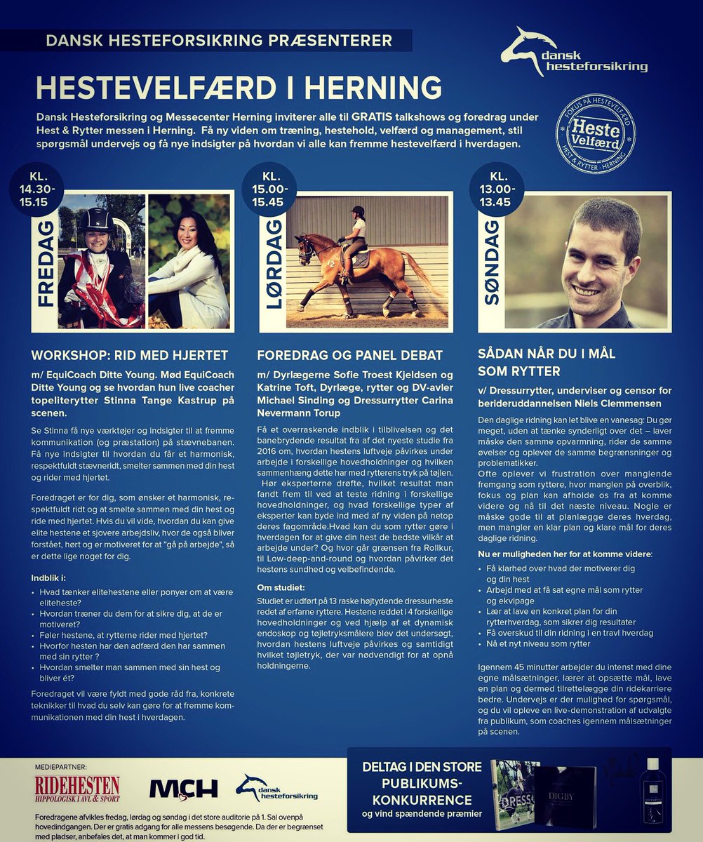 Getting ready for Herning 🐴💜#hingstekåring #herning