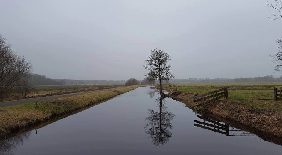 Mooigrunnen's tweet photo. Tussen #Leek en #Lettelbert
Fotograaf Trientje Spiegelaar-middel
#mooigrunnen
https://t.co/isxwznNBte https://t.co/RDYzCb6mY9